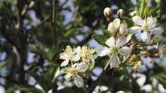 Sommar på kyrkogården Äntligen sommar Nu har sommarsäsongen dragit igång på allvar. Den grå tonen byts ut mot en färggladare palett här på kyrkogården. Fåglarna sjunger och värmen är här.