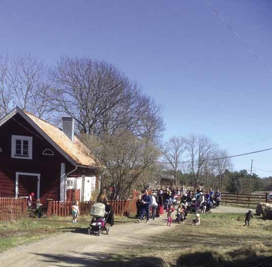 I gårdsbutiken kunde vi handla ägg, lammprodukter, kött, fårskinn och lite konsthantverk.