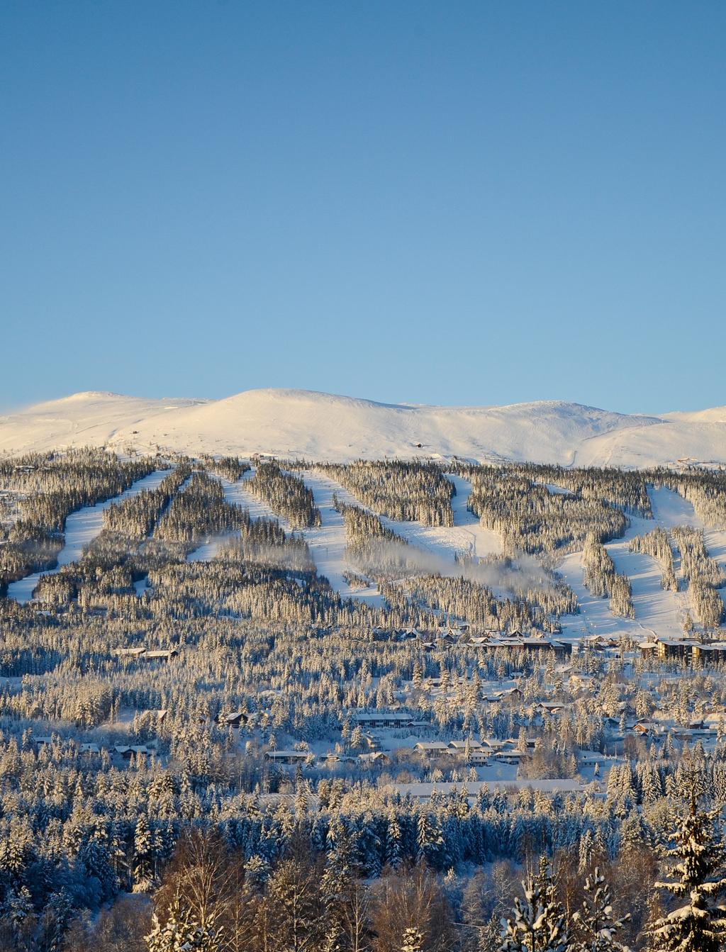 SITE Destination Regionanalys Sälen-Idre--Engerdal -