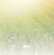 180:- 89:- 7 P Orifl ame Puressence by Ecobeauty Eau de Toilette Naturligt sprudlande doft som
