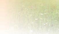 com/ecobeauty Naturlig kosmetik certifi erad av Ecocert Greenlife enligt Ecocert-standard,