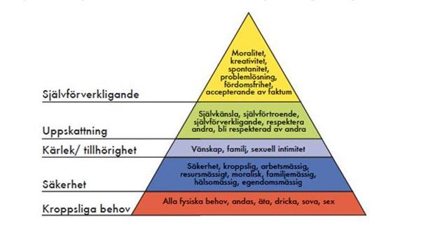 Använda traumakunskap för att skapa förutsättning för läkande och bearbetning PTSD är bara relevant i en trygg