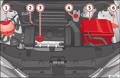 Tekniska specifikationer 263 Tekniska specifikationer Kontrollera vätskenivåer De olika vätskorna i fordonet måste kontrolleras då och då.