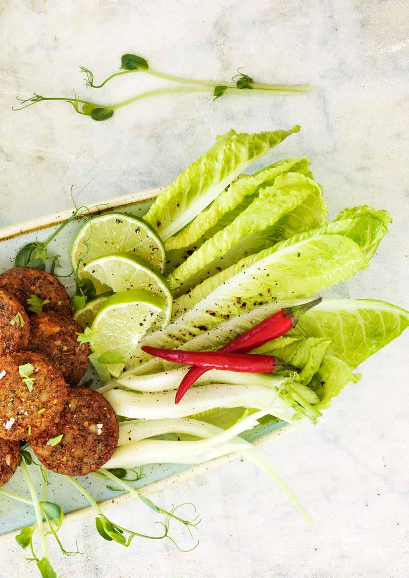 FALAFELN HAR KOMMIT FÖR ATT STANNA Anamma Eko Falafel Falafel har blivit en ny klassiker på såväl skolor som lunchrestauranger.