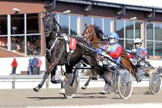 15. Simb Taylor Sto född 16/5-10 Starter: 3 st: 0-0-2 Intjänat: 12 000 kr Rekord: 18,5m B 131011-3 6/2140 str.