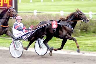 16. Stalker Valack född 23/5-10 Säljare: Rikstravet Halland 2013 Photo Maker V Yankee Bambino (3)*14,0ak S.J.'s Photo *11,7ak V 674.570 26 11-4-3 *10,2ak 1.224.