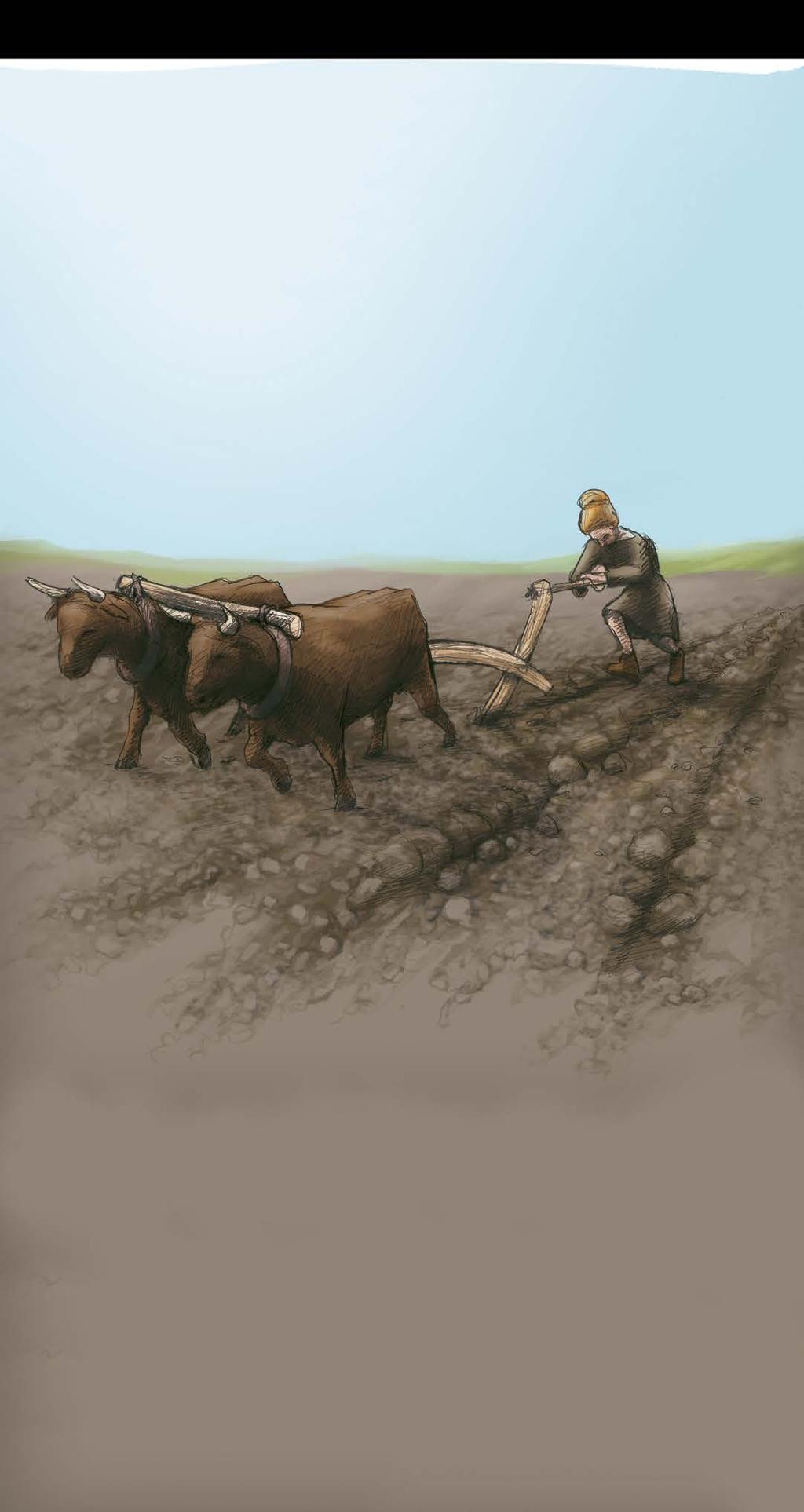 Jordbrukets redskap Under bronsålder var plogen ännu inte uppfunnen, man använde en årder. Skillnaden är att en plog vänder jorden medan ett årder rispar jorden.