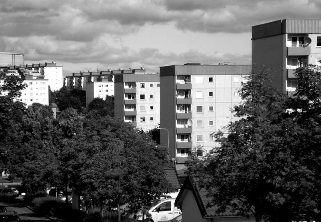 KONSEKVENSER AV SEGREGATION? Sociala normer. Saknar positiva förebilder. Skolsegregation. Inlåsningseffekter.