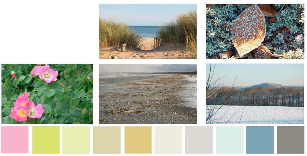 Hälsofrämjande miljöer inomhus Inspiration från naturen med öppna landskap, strand, klitter, väder och vind.