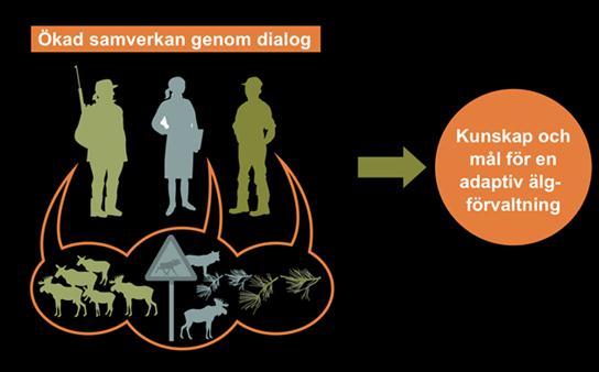 Adaptiv förvaltning Skogen och skötseln av denna förändras kontinuerligt i likhet med älg- och