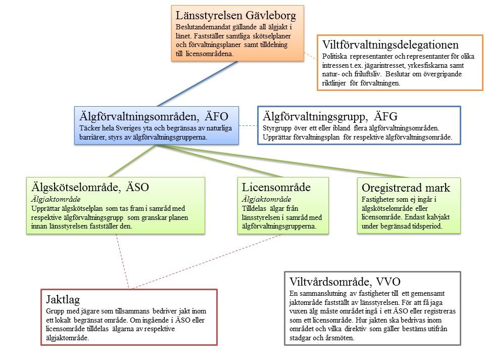 Figur 1. Älgförvaltningen i länet bedrivs av flera aktörer vilket medför en rad olika begrepp.