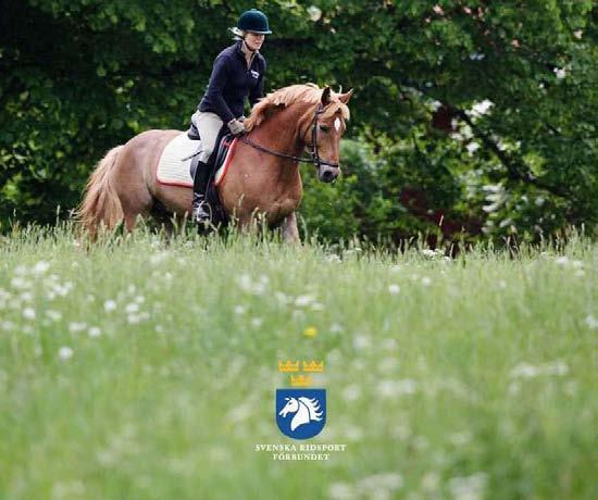 Sida 1 s Uppdrag Svenska Ridsportförbundet beslutade våren 2009 att göra en förstudie beträffande Regionala forum för hästsektorn i samverkan med LRF.