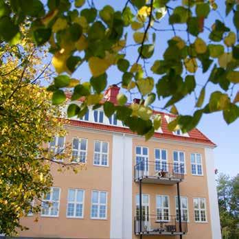 Års- och