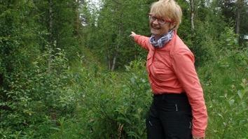 Fjälltoppar lockar många http://sverigesradio.