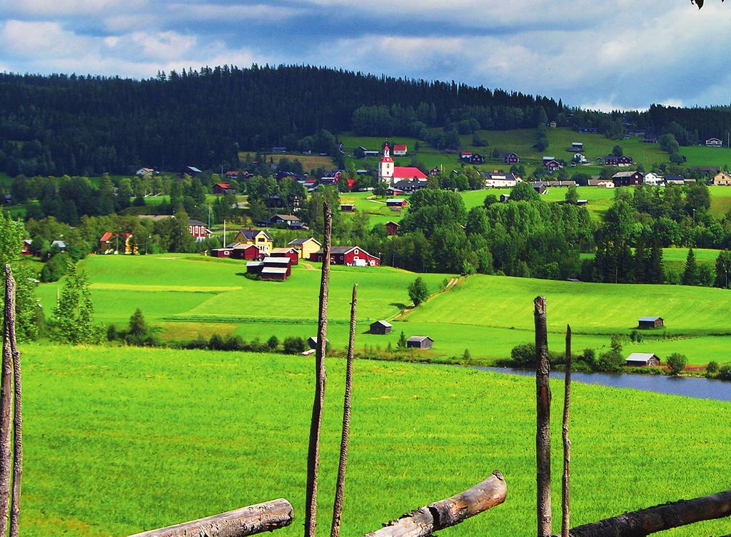 På landsbygden är mat varubutiken ofta navet som ger service till hela orten. Nu har regeringen fattat beslut om nya stöd till dessa servicepunkter.