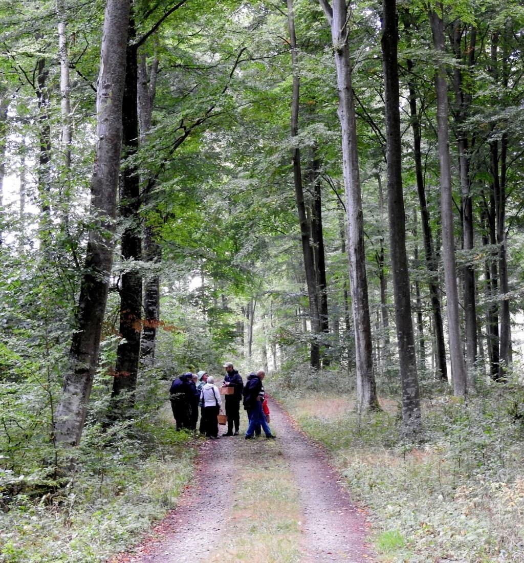 Naturskyddsföreningen i