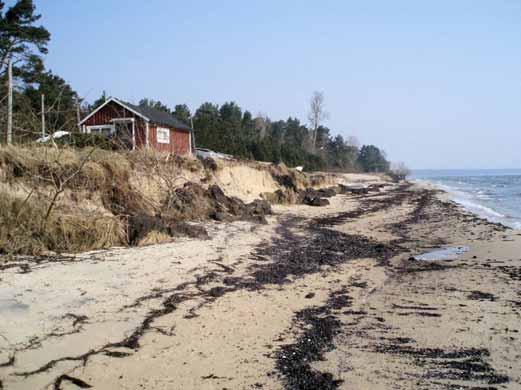 Resultatet från inventeringarna redovisas på SGI:s hemsida www.swedgeo.se/myndighetsstöd/stranderosion. Figur 6-1. Exempel på erosionsskador vid havskust. Stranderosion vid Åhus.