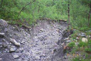 Figur 7-3 Spår av slamström nedströms ravin, ca 5 m bred och 2 m djup erosionskanal, Kittelfjäll,Vilhelmina, Foto: SGI 7.1.