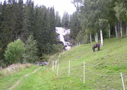 2006-04-03 Dnr 512-11884-05 SKÖTSELPLAN FÖR VÄSTANÅFALLETS