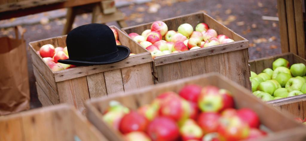 Dragspel Finnvedens dragspelsklubb spelar och sjunger. Dag och tid: Torsdag 16 november kl. 17.30 Plats: Hestragården (Hestra) Loppis Loppis och kaffeservering. Dag och tid: Tisdag 21 november kl. 14.