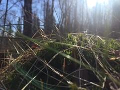 Inledning Då är det återigen höst, natten mellan lördag och söndag så ställde vi om klockan till vintertid/normaltid och kvällarna blir mörkare och morgontimmarna lite ljusare.