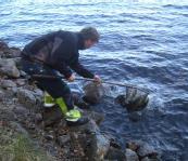 Fiskutsättningar Fiskutsättningar är ofta svårt att lyckas med i naturvatten och det är ofta bättre att vårda och stärka befintliga bestånd. Nya arter kan innebära att naturliga arter hämmas.