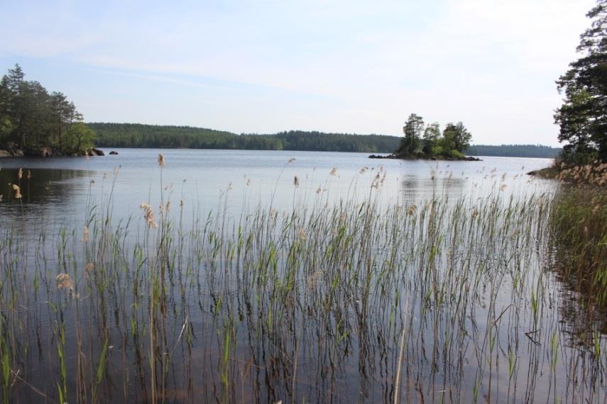 Bakgrund Vintern 2015/2016 skickade Hushållningssällskapets fiskerikonsulent ett förslag och medelansökan till Högsby kommun om att sammanställa en resursplan för fiskevattnen i Högsby kommun.