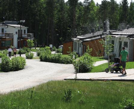 Kvarnskogen, Edberg. Foto: Peter Holstad.