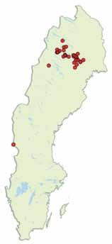 Fig. 5. Känd utbredning av långsam vaxskivling i landet enligt Artportalen (2015-05- 08). Totalt 32 lokaler är rapporterade. nas flera låsbräkenarter.