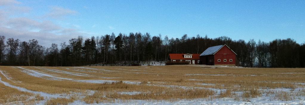 FÖRUTSÄTTNINGAR Mark och vegetation Mark och vegetation Planområdet ligger invid ett skogsbryn och utgörs av åkermark.