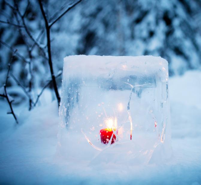 Kom och fira in julen med oss! Lördagar 2/12, 9/12 och 16/12: Julbordslunch kl 12.00 med efterrätt i restaurangen, 425 kr. Julbordsmiddag kl 16.00 och 19.00 med efterrätt i Glashuset, 525 kr.