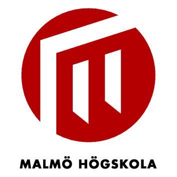 Teknik och samhälle Datavetenskap Examensarbete 15 högskolepoäng, grundnivå De förbisedda slutanvändarna The overlooked end users Oskar Möller Johannes Wångdahl Examen: Kandidatexamen 180 hp