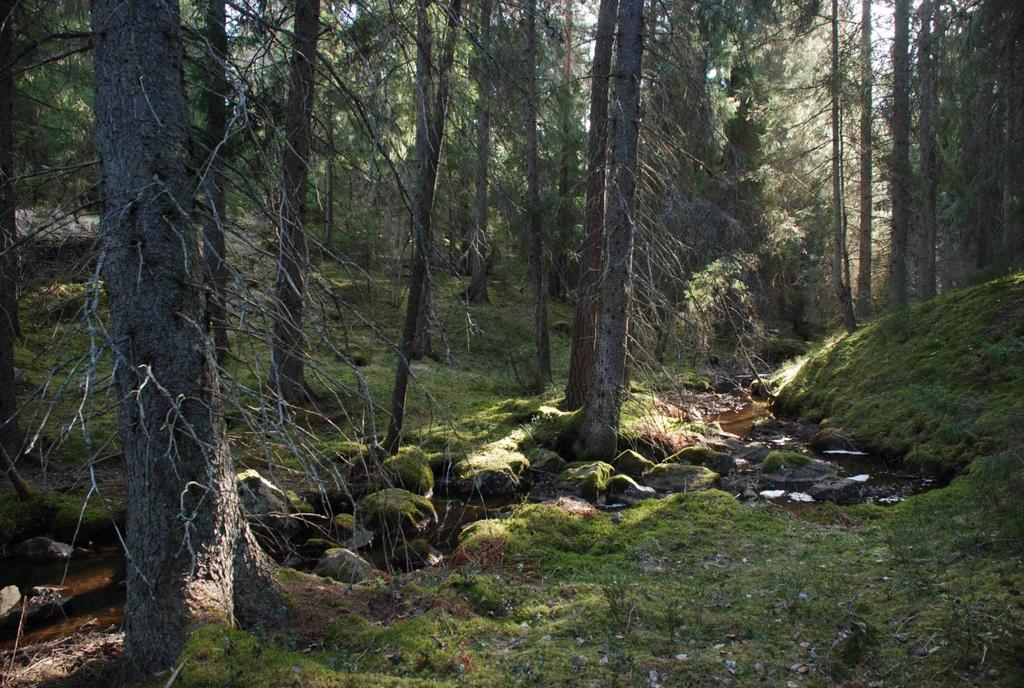 BILAGA A5: SKÖTSELPLAN Tillhör Kommunfullmäktige i Uppsala kommuns beslut 2017-04-24 xxx, Dnr KSN-2017-1224 Skötselplan för naturreservatet Örnsätraskogen Uppsala kommun