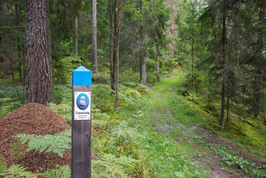 Tillhör Kommunfullmäktige i Uppsala kommuns beslut 2017-04-24 xxx, Dnr KSN-2017-1224 16 (20) Skötselåtgärder: Nyskapande: Röj en rågång.