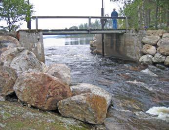 I och med att dammen avlägsnades är det nu fri fiskvandring i Sävarån från mynningen och upp till utloppsdammen i Lossmenträsket.