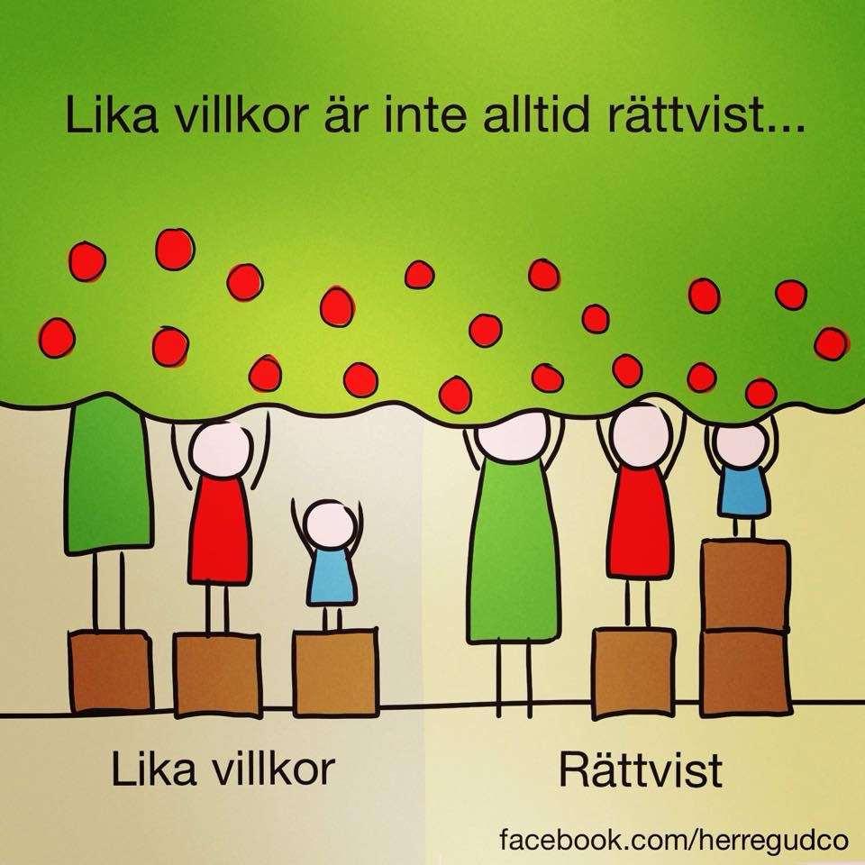 Riktlinjer, Vårdprogram