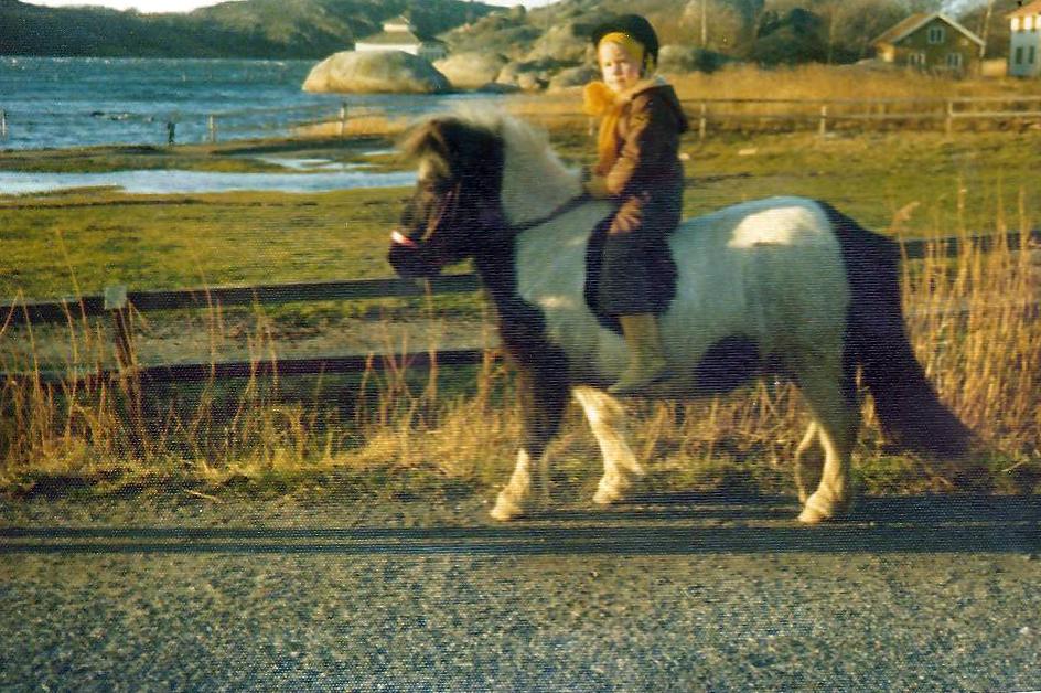 Hästen Mette rids av Agneta Colleen Olle Hertha på stallbacken med föl ARRENDET UPPHÖR Olle och Hertha lyckades också under