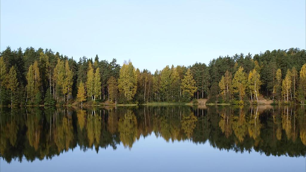 VARFÖR SKA NI VÄLJA PULSEN?