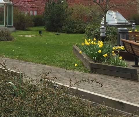 Föreningen arbetar fortlöpande, i samarbete med vår förvaltare AdeEx, med att bekämpa råttorna på gården.