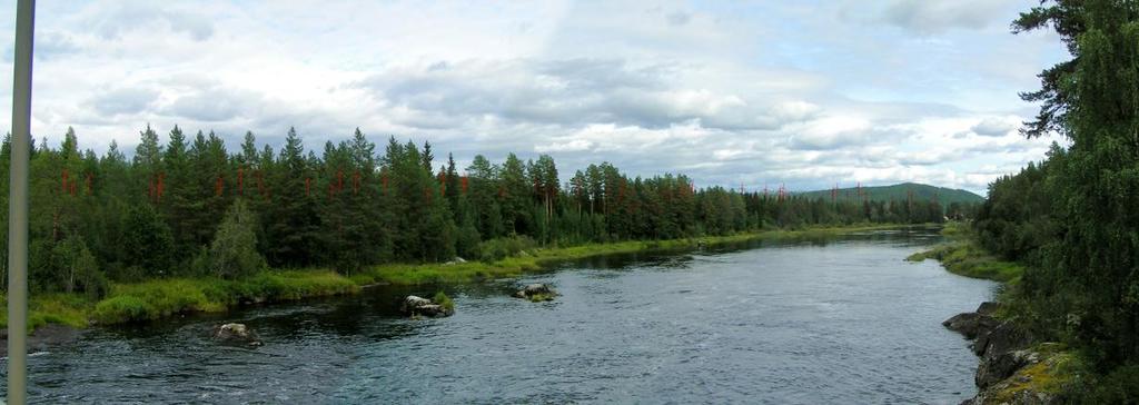 Även från denna fotopunkt döljs etableringen huvudsakligen av terrängen och vegetationen.