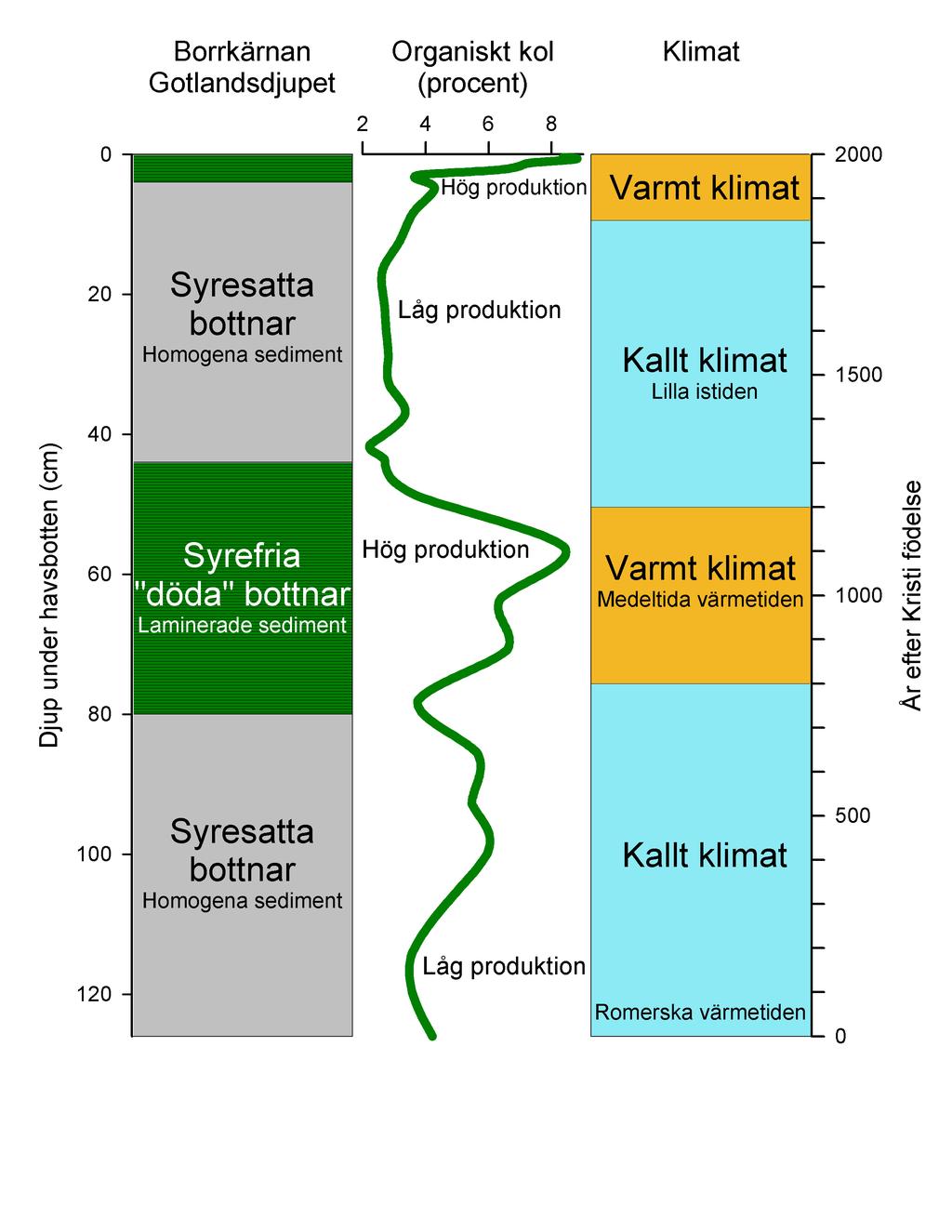 Algblomningar inget nytt i Östersjöns historia Tycks historiskt hänga samman
