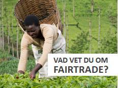 Talarmanus för kort presentation om Fairtrade Den här presentationen är framtagen för dig som vill hålla en kort och grundläggande presentation om Fairtrade, där publiken