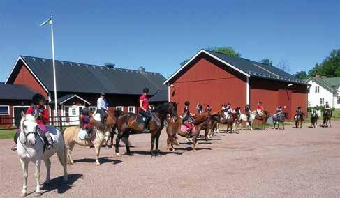 Ridskola Mjölby ridskola erbjuder ridning för enskilda eller i små grupper. Trygga hästar, utbildad personal och hjälpmedel finns.