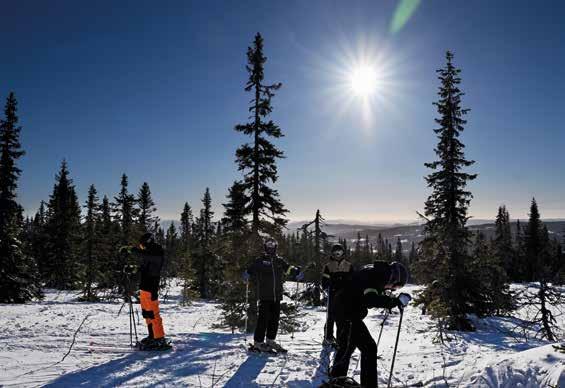 se SPORTLOVSLÄGER Trysil 2018, 17-23 februari Mer info på hemsidan inom kort: www.pingstkyrkankarlskrona.se BLI EN FAST GIVARE!