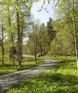 Levande sjöar och vattendrag Sjöar och vattendrag ska vara ekologiskt hållbara och deras variationsrika livsmiljöer ska bevaras.