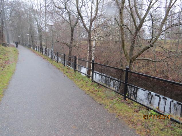 Insatsutvärdering Insatsens händelseförlopp Räddningstjänstens får larm om drunkning klockan 21:48:28 den 16 november 2014.