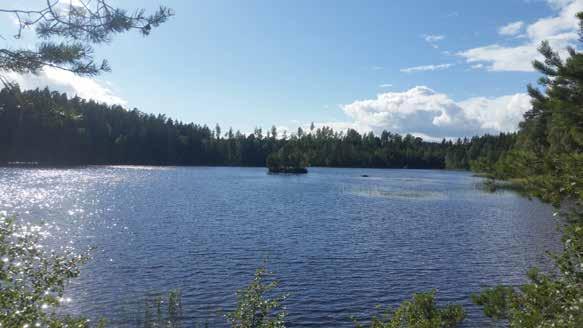 Även här finns regnbågslax och fiske kort krävs.