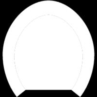 fjordhästar