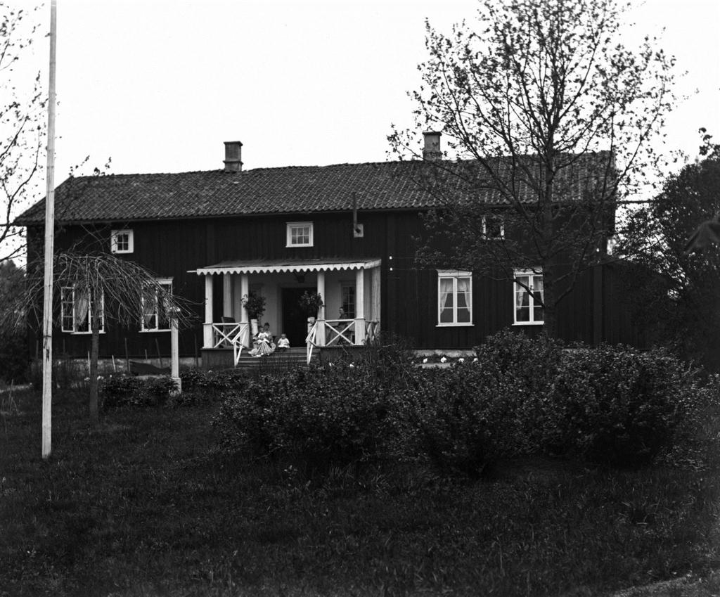 krusbärsbuskar. Dessa hade gula, söta, något håriga och klibbiga bär, som de vuxna brukade rata, men som barnen älskade.