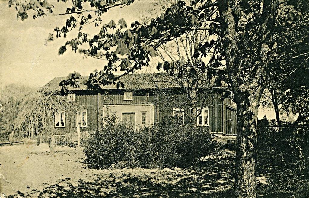 stora prydnadssnäckor, vilket överensstämmer med bouppteckningen efter Erik Gustaf Lagerlöf, där 80 Snäckor är noterade.
